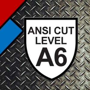 ANSI A6